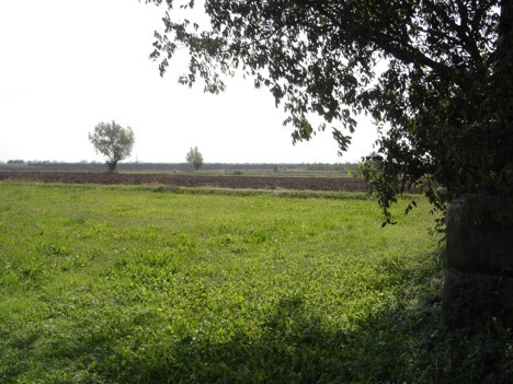 Vendita Terreno uso commerciale Montegrosso d'Asti Montegrosso d'Asti